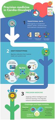 Cardio oncology: Digital innovations, precision medicine and health equity